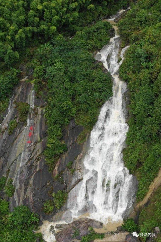 空闲农场